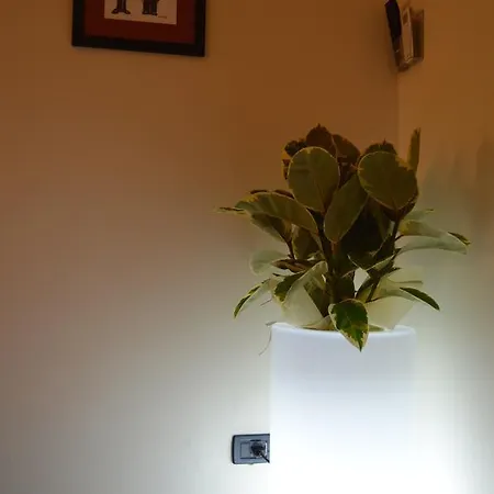 Bed & Breakfast Bissolati *